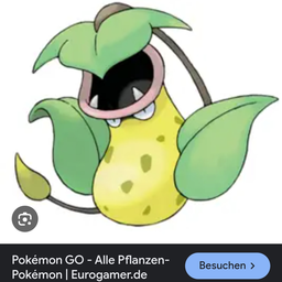 Feli